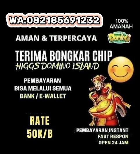 Agen Domino Rupiah Terpercaya dengan Layanan Profesional